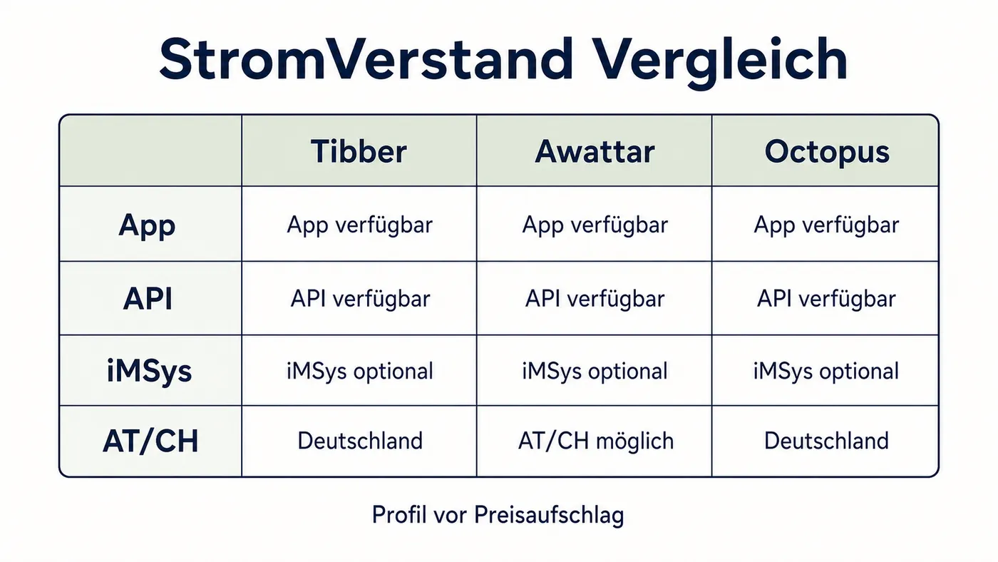 Matrix der dynamischen Stromanbieter nach App, API, Messzugang und Wohnland.